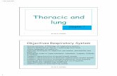 Thoracic and lung - جامعة آل البيت · PDF file · 2015-10-13Thoracic and lung Chapter 7 1 Objectives Respiratory System ... pleural effusion, fibrous tissue or truma •Hyper