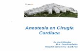 Anestesia en Cirugía Cardíaca en Cirugía Cardíaca Dr. Jordi Miralles Dra. Josefina Galán Hospital Santa Creu i Sant Pau Particularidades de la Cirugía Cardiaca Tipo de paciente