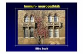 Ill és Zsolt - NeurologyHomePageneurology.pote.hu/neuro/modules/postgrad/data/051129_Illes_Zs.pdf · Plexopathia (ritka) egy -vagy k étoldali lumbosacralis egy -vagy k étoldali