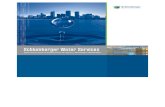 Schlumberger Water Services - novametrixgm.comnovametrixgm.com/pdfs/brochures/SWS_Corp_brochure_Spanish.pdf · Optimización de diseño de pozos de agua subterránea ... Interpretación