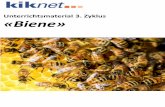 Lektionsplanung „Die Biene Sek I des Eden Project  Wabenplatten Karton https: ... Joghurt und Getreideriegel mit Honig. Gummibärchen: ...