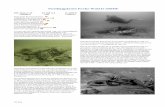 Postflygplanet Focke Wulf D ARHW och ingenjör Kurt Amberg vid Bofors AB. Undersökningarna visade att fragmenten troligen kom från en 20 mm luftvärnsprojektil troligen pansarbrytande.