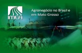 Agronegócio no Brasil e em Mato Grosso - imea.com.br · PDF fileÍNDICE 1 –Agronegócio no Brasil e em Mato Grosso 1.1 –Agronegócio Soja 1.2 –Agronegócio Milho 1.3 –Agronegócio