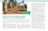 Wertschöpfungs - kette ist undicht - · PDF fileBircher, Nicolas (2008): FSC-Zertifizierung in Schweizer Forstbetrieben, selbstständige schrift-liche Arbeit im Bachelorstudiengang,