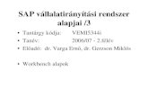 SAP vállalatirányítási rendszer alapjai /3 - aut.vein.hu · PDF file• ABAP programok lefutása • ABAP Workbench bevezetés • ABAP utasítások és adatdeklarációk • Adatbázis