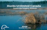 Ducks Unlimited Canada -  · PDF fileDucks Unlimited Canada Conserving Canada’s Wetlands ESANS November 25rd, 2015