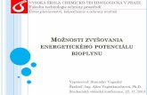 Možnosti zvyšovania energetického potenciálu bioplynutresen.vscht.cz/kap/data/studentska_cinnost/studentska_vedecka... · Vyššia bezpečnosť - motory na CNG podliehajú prísnym