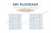 SRI RUDRAMsaiveda.net/bibli/Rudra Tattva/Diapo Rudra Tattva - EN.pdf · •The Rudram-namakam starts with apprehension. We prostrate down before Rudra , His powers and His Zmanyu