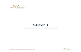 SCSP I -   · PDF fileelaborează şi aplică teste psihologice pentru măsurarea inteligenţei, abilităţilor, aptitudinilor şi a altor caracteristici umane,