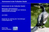 Kormorane in der Fußacher Bucht - hydra- ge pdf... · PDF fileMartin Gugele, Vertreter Fischerei Sigmar Schneider, Vertreter Fischerei. Title: PowerPoint-Präsentation Author: andi