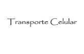 Transporte Celular - Portal CIAMciam.ucol.mx/portal/portafolios/ramonmagallanes/apuntes/TRANS_CEL… · La Osmosis Paso del agua por una ... Transporte Activo. Transporte de Na y