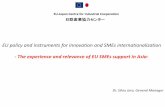 EU policy and instruments for innovation and SMEs ...2015.insme.org/wp-content/uploads/2015/06/Silviu-Jora.pdf · EU policy and instruments for innovation and SMEs internationalization