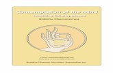 Contemplation of the Mind - A Buddhist Library - Theravada/Teachers/Bhikkhu... · Contemplation of the MindContemplation of the Mind. ... Vipassana yogis (meditators) who are interested