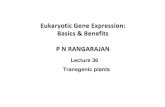 Lecture 36 Transgenic plants - Chemistry IYC 2011 and ... lecture 36.pdf · Lecture 36 Transgenic plants. ... Chimeric genes for transforming plant cells using viral promoters ...