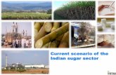 The Indian Sugar Industry - Agriculture Outlook Indiaagrioutlookindia.ncaer.org/events/sugar_sector_ISMA.pdf · The Indian Sugar Industry Annual estimated consumption of 23 million