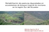 Rehabilitación de pasturas degradadas en ecosistemas de bosque tropical ... · ecosistemas de bosque tropical de montana en la región Sur del Ecuador Nikolay Aguirre Nikolay Aguirre