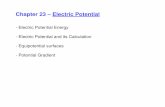 Chapter 23 – Electric Potential - Physicsroldan/classes/Chap23_PHY2049.pdfChapter 23 – Electric Potential - Electric Potential Energy - Electric Potential and its Calculation -