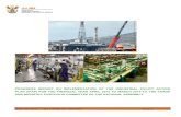 Industrial Policy Action Plan (IPAP2) · PROGRESS REPORT ON IMPLEMENTATION OF THE INDUSTRIAL POLICY ACTION PLAN ... and Cipla Medpro ... Lack of long-term investments in the manufacturing