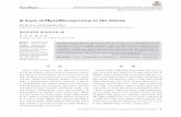 A Case of Myxofibrosarcoma in the Cheek - Korean Journal of … ·  · 2017-04-17 3 Myxofibrosarcoma in the Cheek Son HJ, et al. 제술(level II, III, IV)을 시행하였다. 이후