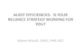AUDIT EFFICIENCIES: IS YOUR RELIANCE STRATEGY … · AUDIT EFFICIENCIES: IS YOUR RELIANCE STRATEGY WORKING FOR ... – Examples may include share capital, ... • Reliance Goal: ...