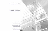 CRM: IT Systems - KU · Katholische Universität Eichstätt-Ingolstadt Lehrstuhl für ABWL und Wirtschaftsinformatik Prof. Dr. Klaus D. Wilde 1 Basics of CRM and Microsoft Dynamics