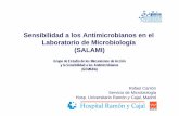 Sensibilidad a los Antimicrobianos en el Laboratorio de ...seimc.org/contenidos/gruposdeestudio/gemara/dcientificos/document... · § Normas del CLSI 26,2% ... NCCLS + MENSURA 31,0%