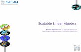 Scalable Linear Algebra - PRACE Research Infrastructure · Scalable Linear Algebra ... Z = DOUBLE COMPLEX YY matrix type ... call magma_dgetrf_gpu( M, N, d_A, ldda, ipiv, info ) Block