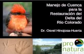 Dr. Osvel Hinojosa-Huerta - inbo-news.org · Manejo de Cuenca para la Restauración del Delta del Río Colorado Dr. Osvel Hinojosa-Huerta