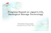Progress Report on Japan's CO2 Geological Storage Technology · Progress Report on Japan's CO 2 Geological Storage Technology ... Reservoir Evalation Risk Analysis Geomechanic Modeling