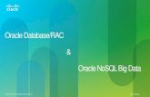 Oracle Database/RAC - Cisco Platform for Oracle NoSQL Database Cisco Big Data Common Platform (CPA) is a highly scalable architecture designed to meet