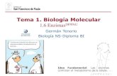 Tema 1. Biología Molecular - dpbiologia.weebly.comdpbiologia.weebly.com/uploads/2/1/5/5/21553524/gtp_t1.biología... · Germán Tenorio Biología NS-Diploma BI Tema 1. Biología