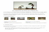 Les compositions de bonsaï (par Stéphane M.)€¦ ·  · 2010-03-23- bonsaï (essentiellement des shohin ou mame) 2. Quelques règles... Contrairement à ce qu’on pourrait penser,