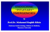 ENDOCRINE “PITUITARY“ EMERGENCIES - Manssmh.mans.edu.eg/files/pdf/diabetes/Endocrine_Pituitary_emergencie… · ENDOCRINE “PITUITARY“ EMERGENCIES By ... during times of metabolic