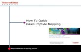 BioPharma Finder 1.0 How to Guide Basic Peptide Mapping · How To Guide Basic Peptide Mapping. ... analysis workflow choose protein ... BPF 1.0 –Peptide Mapping Analysis Homepage