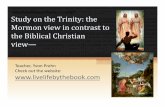 Study of the Trinity, #1 - WordPress.com · • Brief review of the meaning of ... Overview of Progressive Revelation ... in the Bible is the doctrine of the trinity.