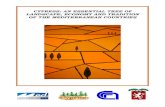 CYPRESS: AN ESSENTIAL TREE OF LANDSCAPE, ECONOMY …cupressus.ipp.cnr.it/cypfire/files/Cypress an essential tree_cap1.pdf3 1. PREFACE The objectives of the CypFire project of the MED
