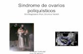 Sindrome de ovarios poliquísticos - Montevideo, Uruguay la ausencia cronica de progesterona. Insulina ---- andrógenos la insulina favorece el hiperandrogenismo: ... Anovulacion +