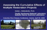 Assessing the Cumulative Effects of Multiple Restoration ... · Assessing the Cumulative Effects of Multiple Restoration Projects Heida L. Diefenderfer, Ph.D. Pacific Northwest National