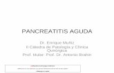 PANCREATITIS AGUDA Dr. Muñiz 2009 - pdfMachine …B.-Tratamiento de causas de muertes mediatas: ... ŁSolo indicadas en las complicaciones de las pancreatitis aguda necrotizante pdfMachine