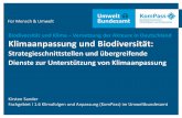 Biodiversität und Klima – Vernetzung der Akteure in ... · Klimaanpassung und Biodiversität: Strategieschnittstellen und übergreifende Dienste zur Unterstützung von Klimaanpassung