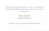 Properties of optimizations used in ... -  · Properties of optimizations used in penalized Gaussian likelihood inverse covariance matrix estimation Adam J. Rothman School of Statistics