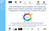 VALORificarea oportunităților de inserție pe final... · Proiect co-finanțat prin FONDUL SOCIAL EUROPEAN prin Programul Operațional pentru Dezvoltarea Resurselor Umane 2007-2013