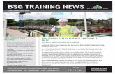 BSG TRAINING NEWS - BSG Health and Safety consultants · BSG TRAINING NEWS Training Udate Autumn 2017 ... ensure they were as safe as possible, ... There is no immediate requirement