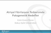 Atriyal Fibrilasyon Tedavisinde Patogenetik Hedefler - …file.lookus.net/igkk/Girisimsel-Aritmi/3.pdf · SCHOTTEN ET AL. Pathophysiological Mechanisms of Atrial Fibrillation. Physiol