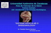 Universidad Autónoma de Zacatecas - uaz.edu.mx ” Dr. Rodolfo ... I.-Generalidades ... placa de fibrocartílago y las superficies articulares óseas recubiertas por delgado cartílago