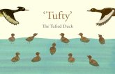 ‘Tufty’ - nature.scot the... · Two tufted ducks have been flying for a very long time indeed. “Oh, ... That keeps us busy. ... At Loch Leven National Nature Reserve, we