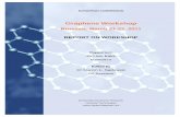 Graphene Workshop Report final V4 - European Commissionec.europa.eu/.../graphene-workshop-report_en.pdf · Graphene Workshop Brussels, March 21-22, 2011 ... electrical, optical and