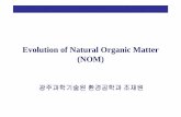 Evolution of Natural Organic Matter (NOM)dwl/conference/nom_ecology_intro.pdf · NOM is Chemistry NOM is ... Seawater Organic Matter (SOM) ... I-3. NOM-SOM-SeaOM-AOM 등 종합 분석기술