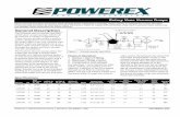 General Description - Powerex Inc Powerex vacuum pumps are lubri-cated-vane vacuum pumps, which can be used for a variety of applications. ... Check lubricating oil level before each