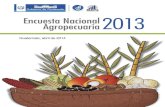 Guatemala, abril de 2014 - web.maga.gob.gtweb.maga.gob.gt/download/ena-2013.pdf · Encuesta Nacional agropecuaria 2013 3 Presentación Para el INSTITUTO NACIONAL DE ESTADÌSTICA –INE-